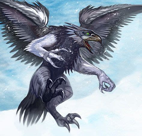 The Raven's Symbolism in Occult Secret Societies